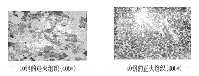 40鋼的退火組織與正火組織
